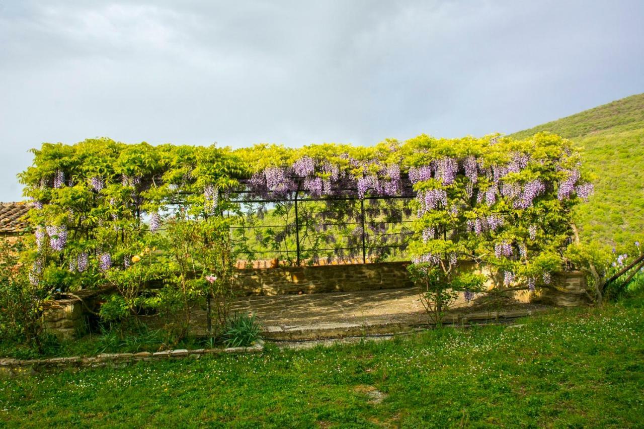 Borgo Solamore Hotel Cortona Ngoại thất bức ảnh